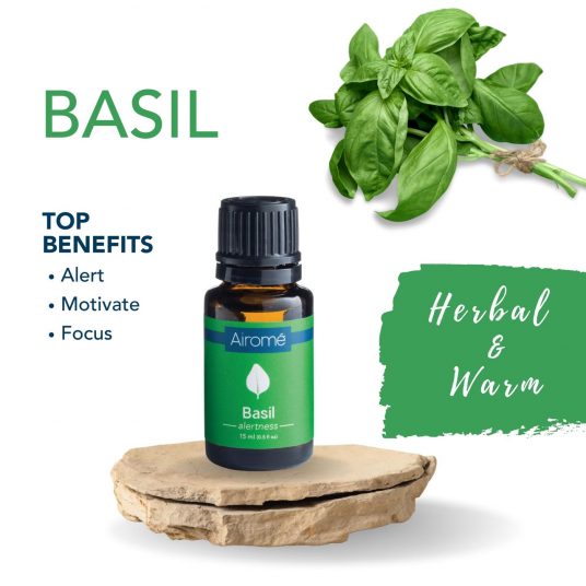 Basil Essential Oil